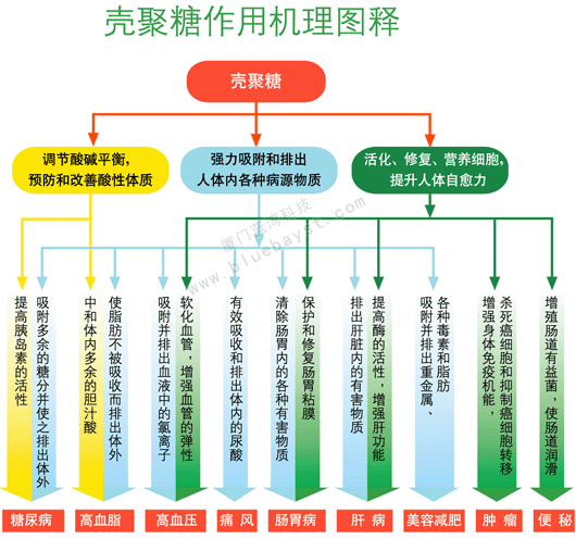 藍灣殼聚糖