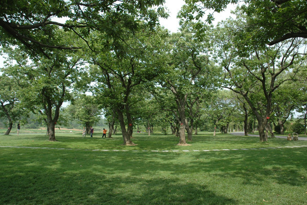 沭陽縣古栗林公園