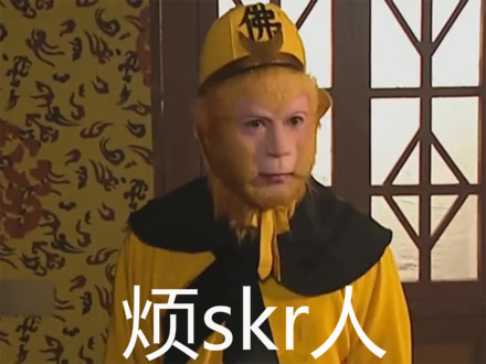 煩skr人