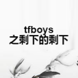 tfboys之剩下的剩下