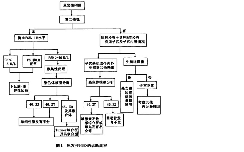 閉經(經閉)