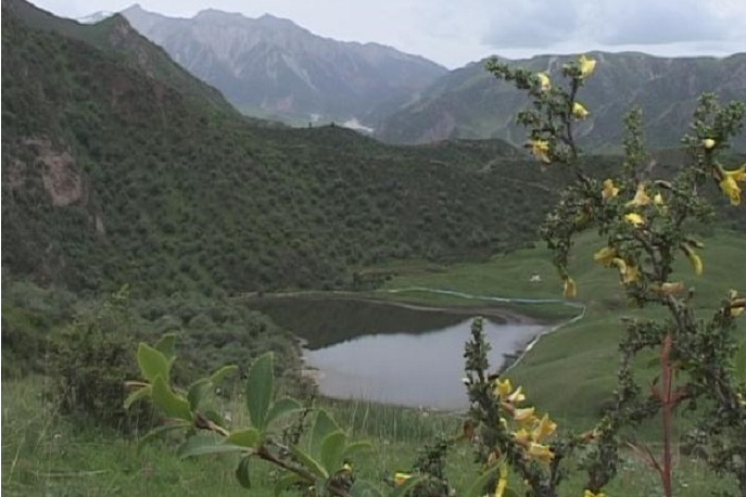 貴德古八景