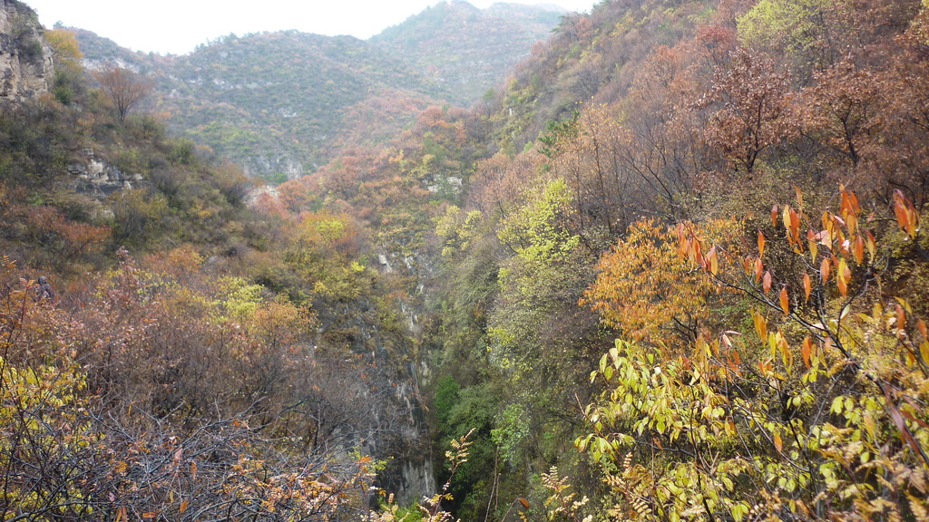 凌井溝自然保護區