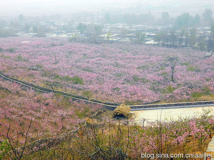 楊和寺村