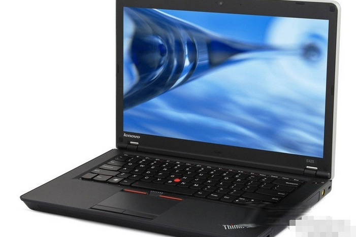 ThinkPad E425 1198A29