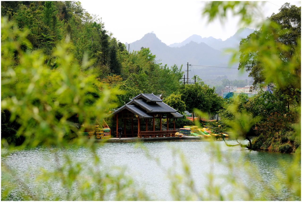 大王嶺原始森林