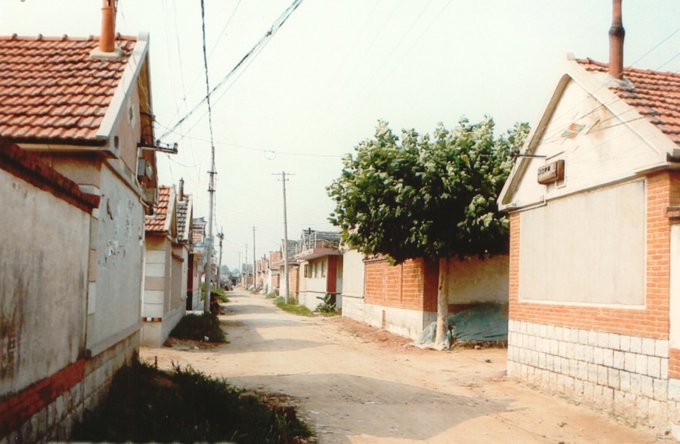 蘆家莊村(河北省石家莊辛集市馬莊鄉下轄村)