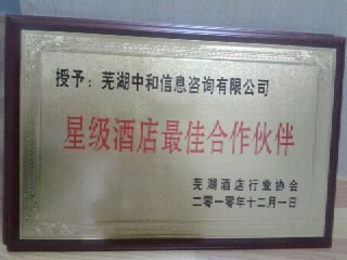 蕪湖中和信息諮詢有限公司