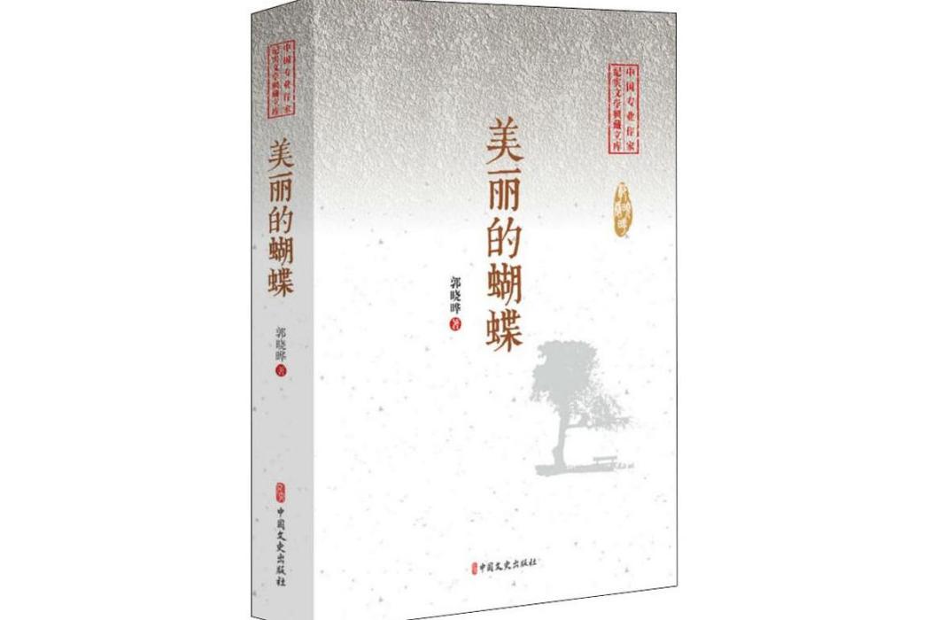 美麗的蝴蝶(2019年中國文史出版社出版的圖書)