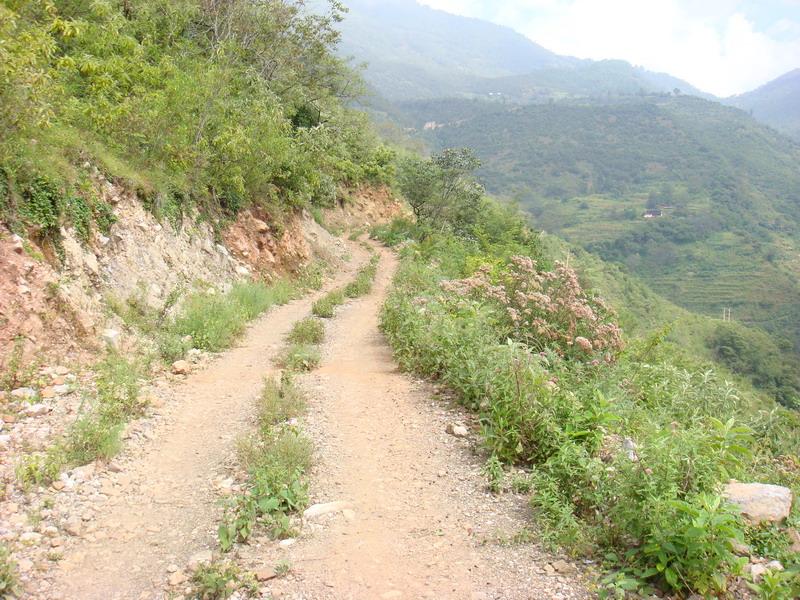 進村道路