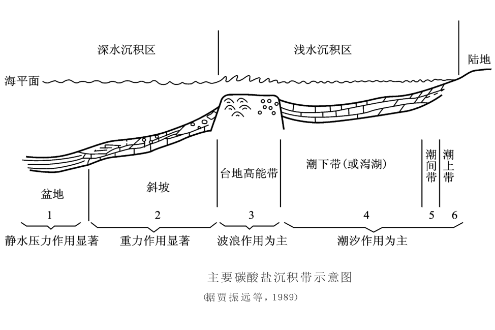 碳酸鹽岩沉積體系