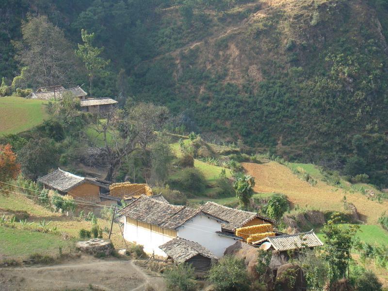 和平自然村(雲南省彝良縣蕎山鄉下轄村)