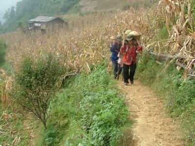 亞口自然村的道路情況