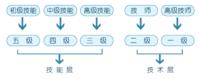 職業資格等級