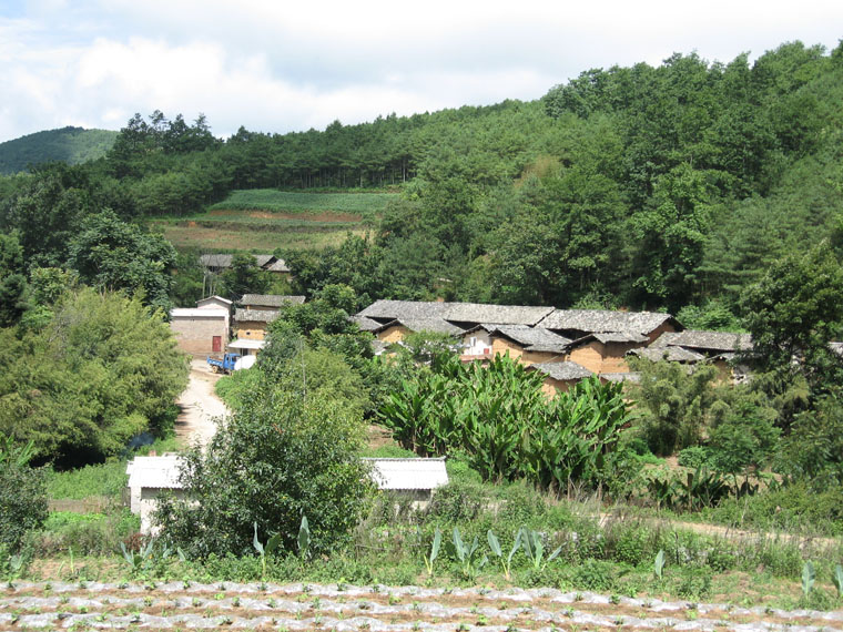 背陰岩村