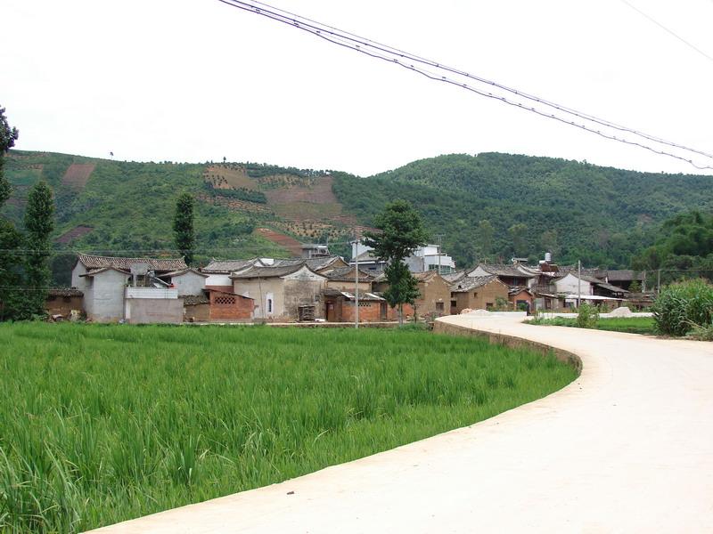 入村道路