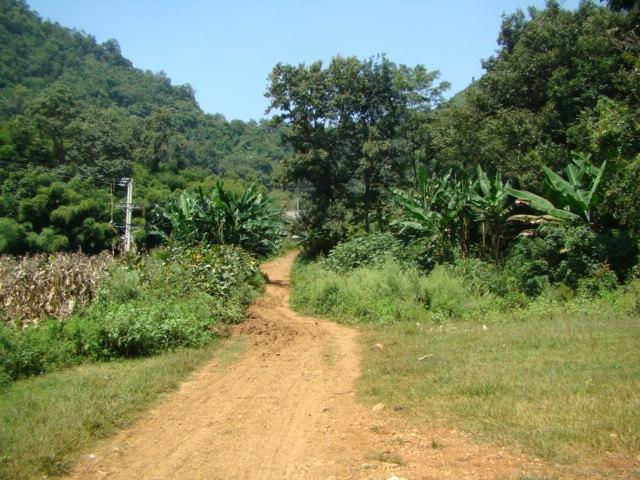 阿絞綠蔭塘村