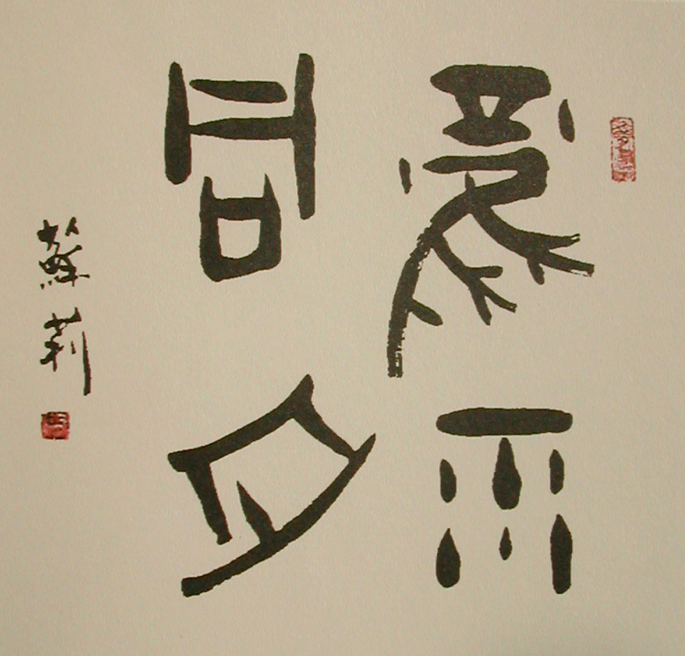 風雨同舟.2008年