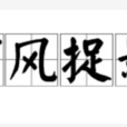 捕風捉影(漢字成語)