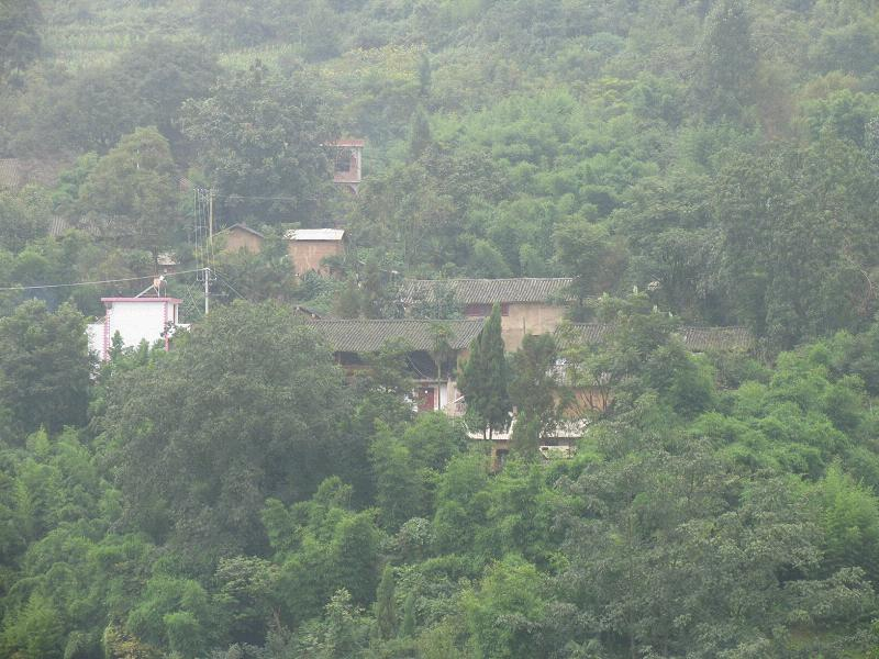 石山村(福建寧德柘榮縣乍洋鄉石山村)