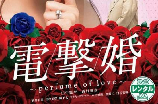 閃婚perfume of love