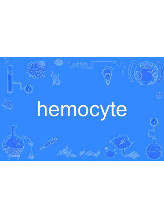 hemocyte