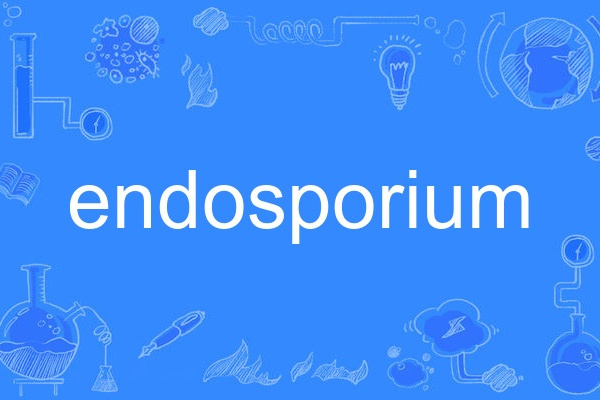 endosporium