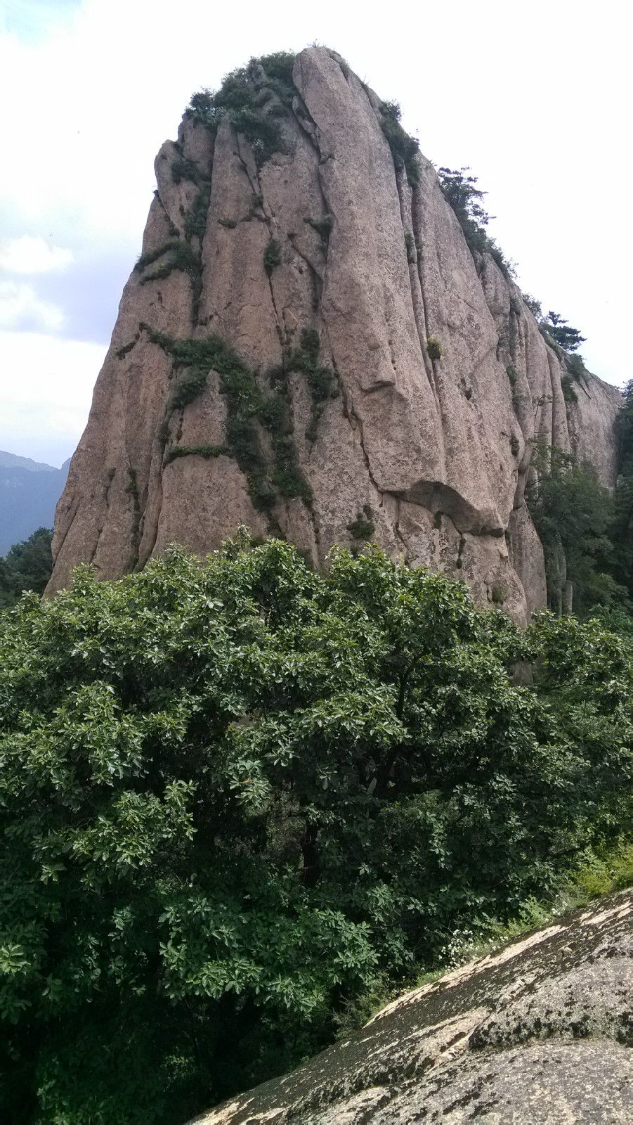 楊山寨景區