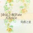 [命運之夜]Fate/Choice