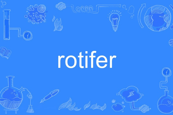 rotifer