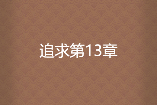 追求第13章