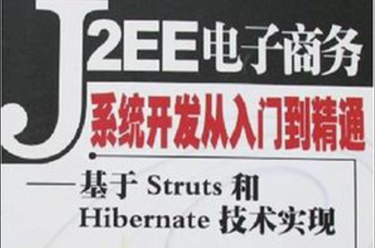 J2EE電子商務系統開發從入門到精通