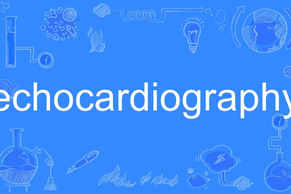 echocardiography(英語單詞)