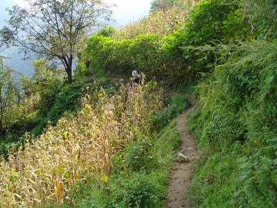 打吾表自然村的道路情況