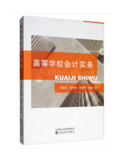 高等學校會計實務(2019年經濟科學出版社出版的圖書)