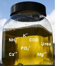 尿能源Urine energy