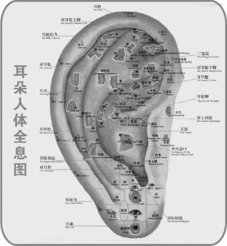 治耳病方