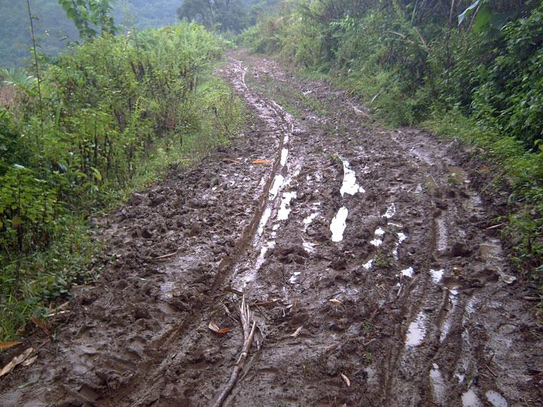 大村、半坡自然村村內道路