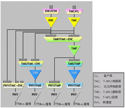 T-MPLS網路架構