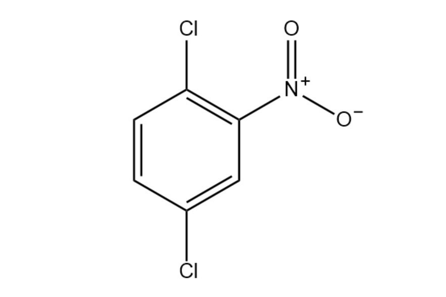 2,5-二氯硝基苯