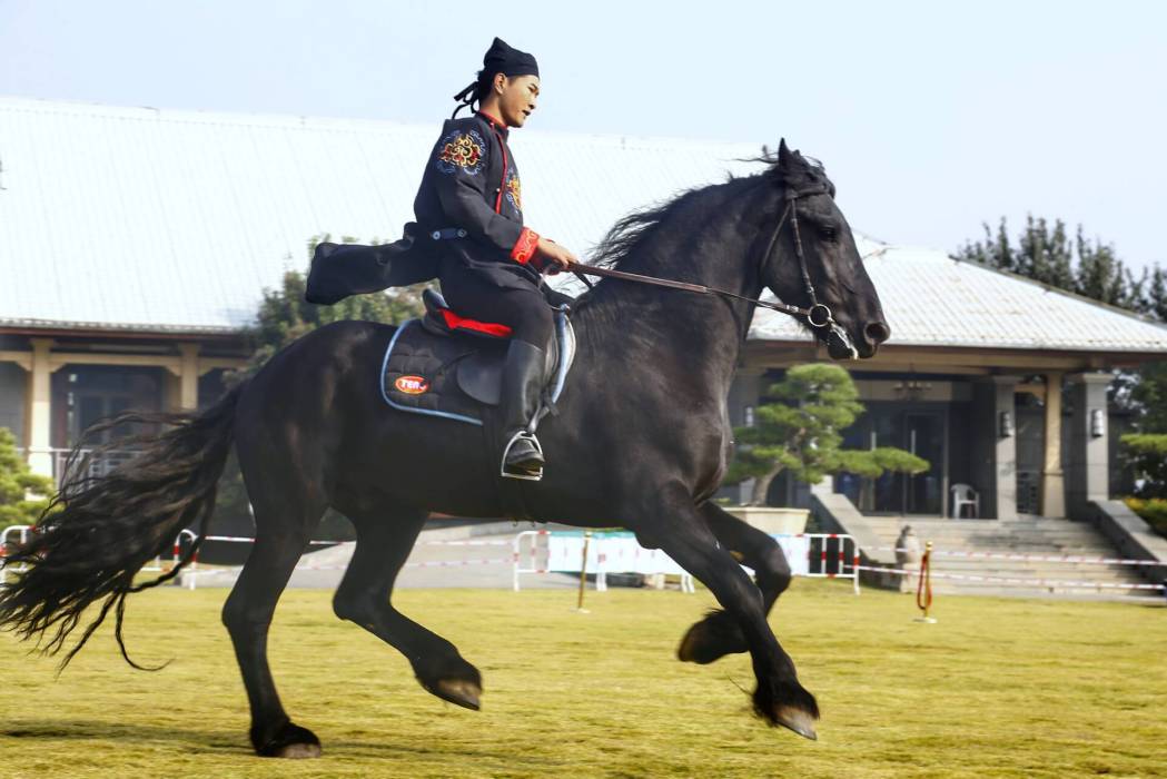 2019絲綢之路國際馬文化節