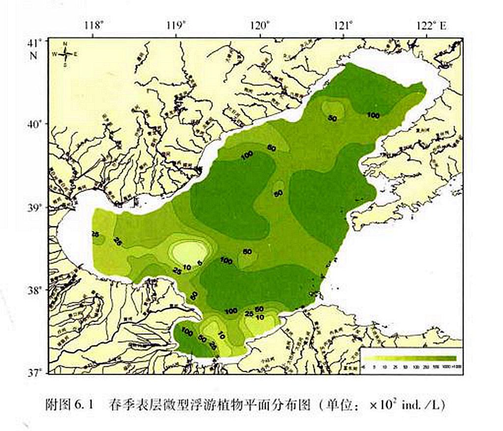 微型浮游生物