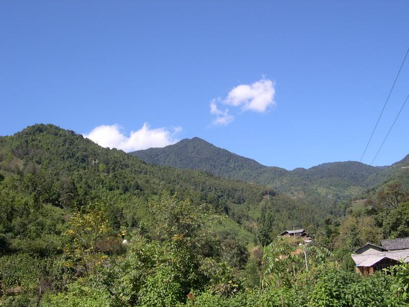 達海自然村自然資源－山林