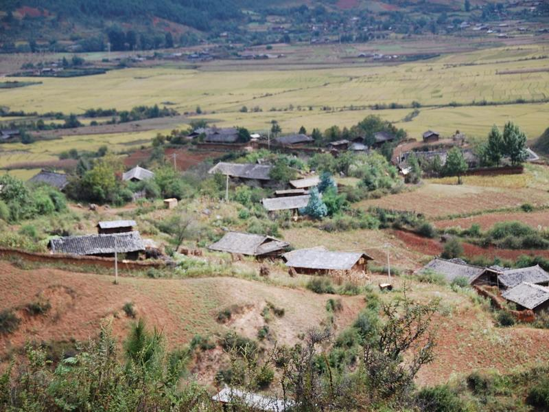 楊柳灣自然村(雲南省昭通威信縣舊城鎮馬安村楊柳灣自然村)