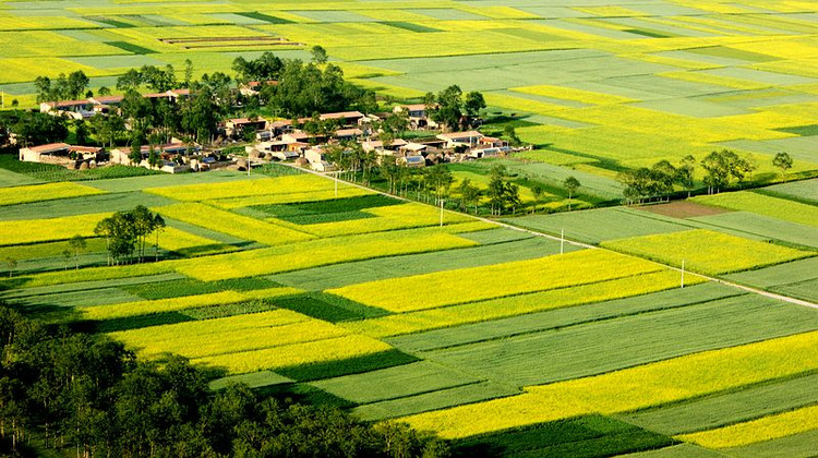 土地平曠