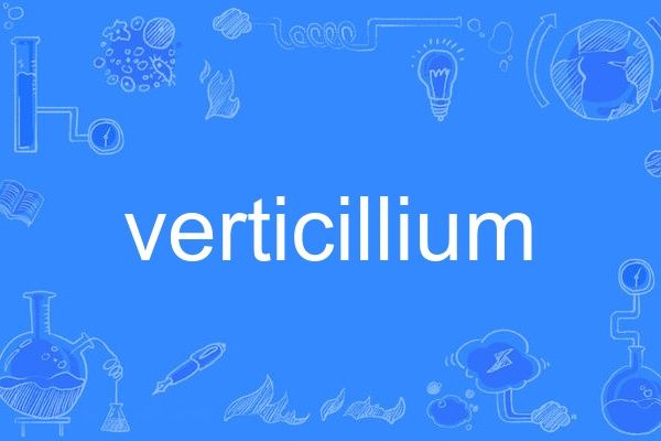 verticillium