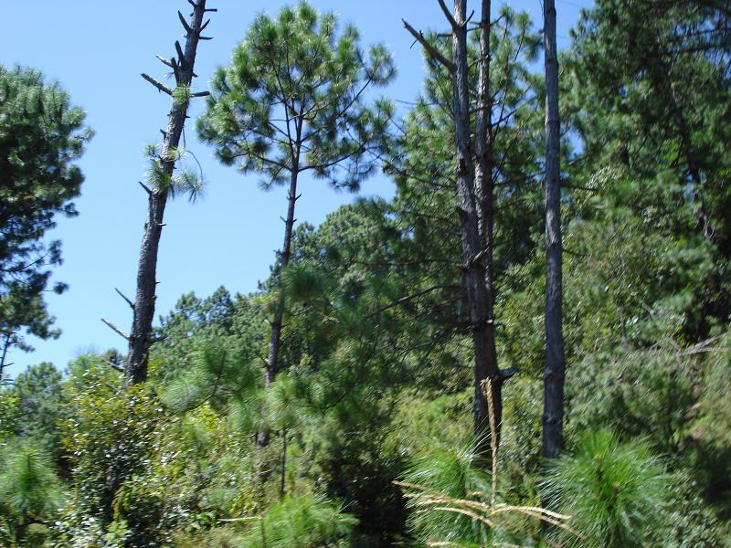 西山黑里村