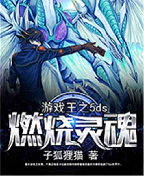 遊戲王之5ds燃燒靈魂