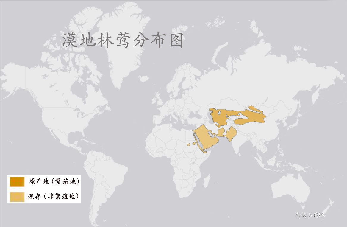 漠地林鶯分布圖