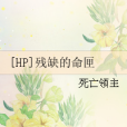 [HP]殘缺的命匣